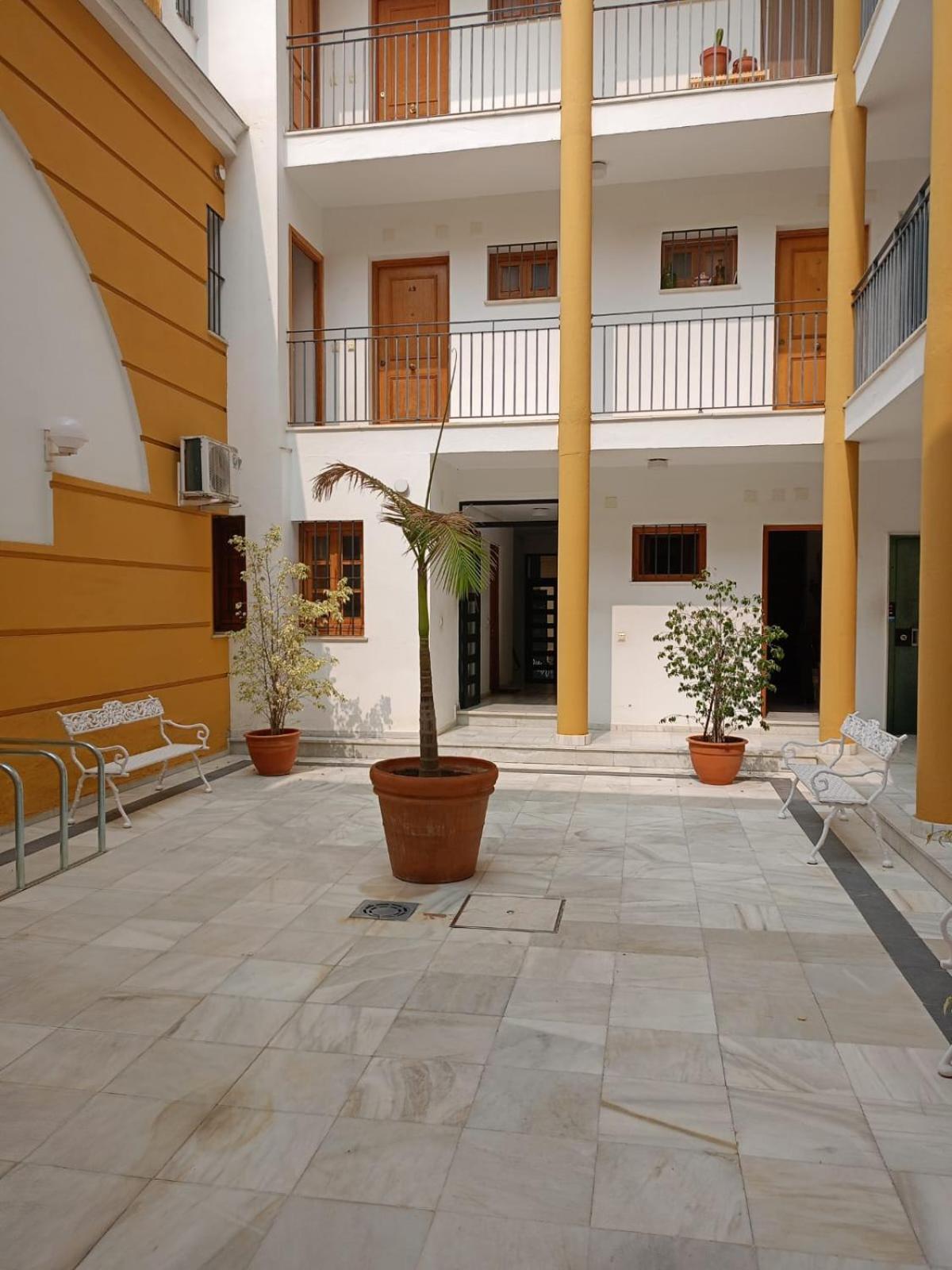 Apartamento Duenas Sevilla Dış mekan fotoğraf